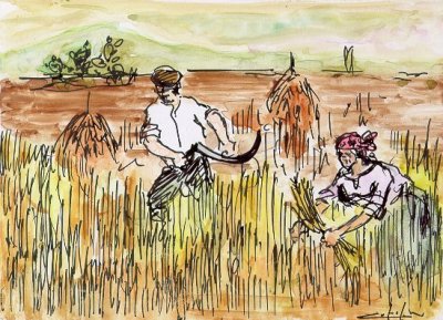 La paga di una giornata di duro lavoro, permetteva appena di sopravivere